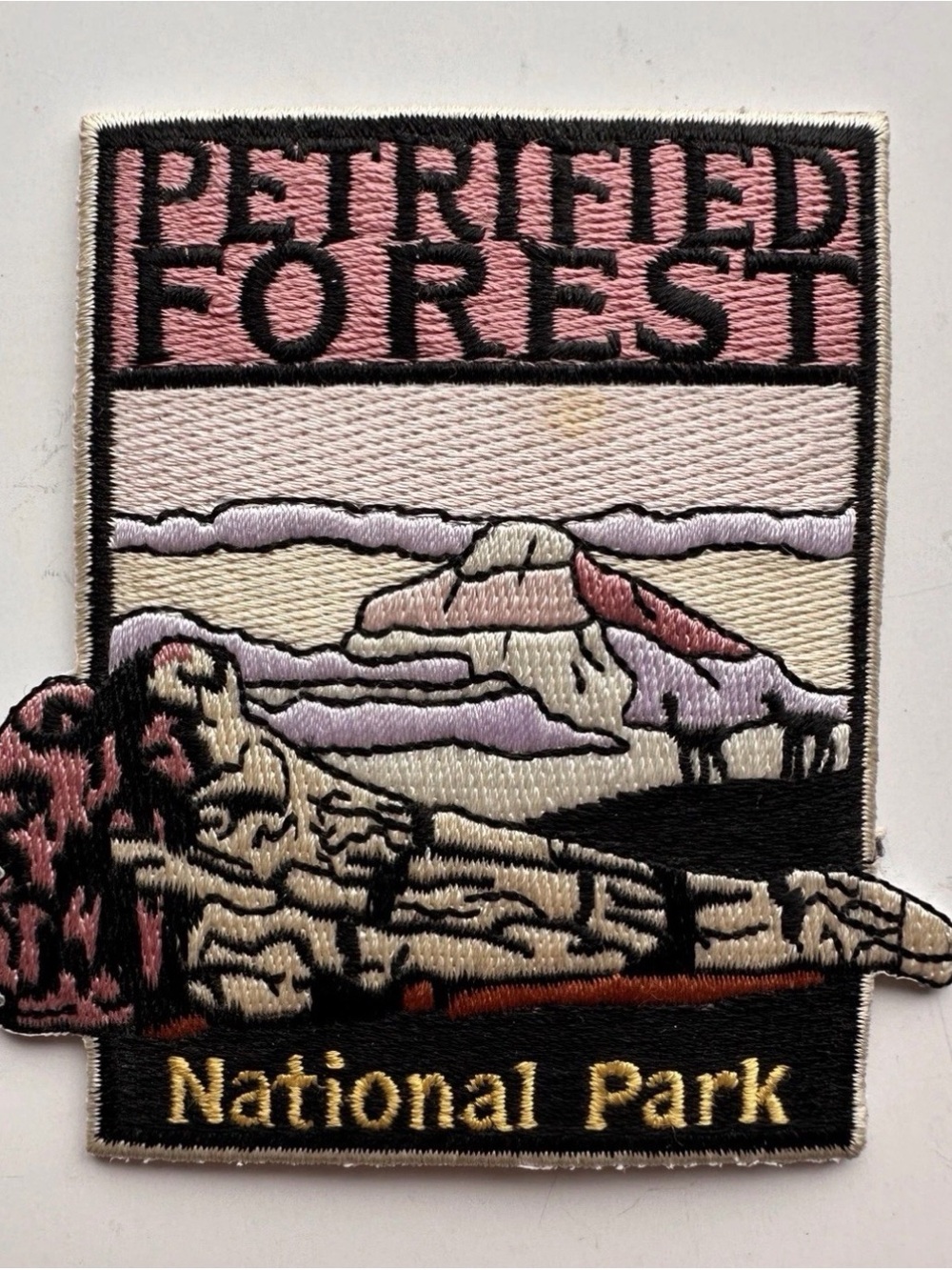 Petrified Forest National Park Embroidered Patch 3” Souvenir Arizona